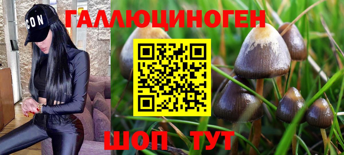 Псилоцибиновые грибы мухоморы Якутск