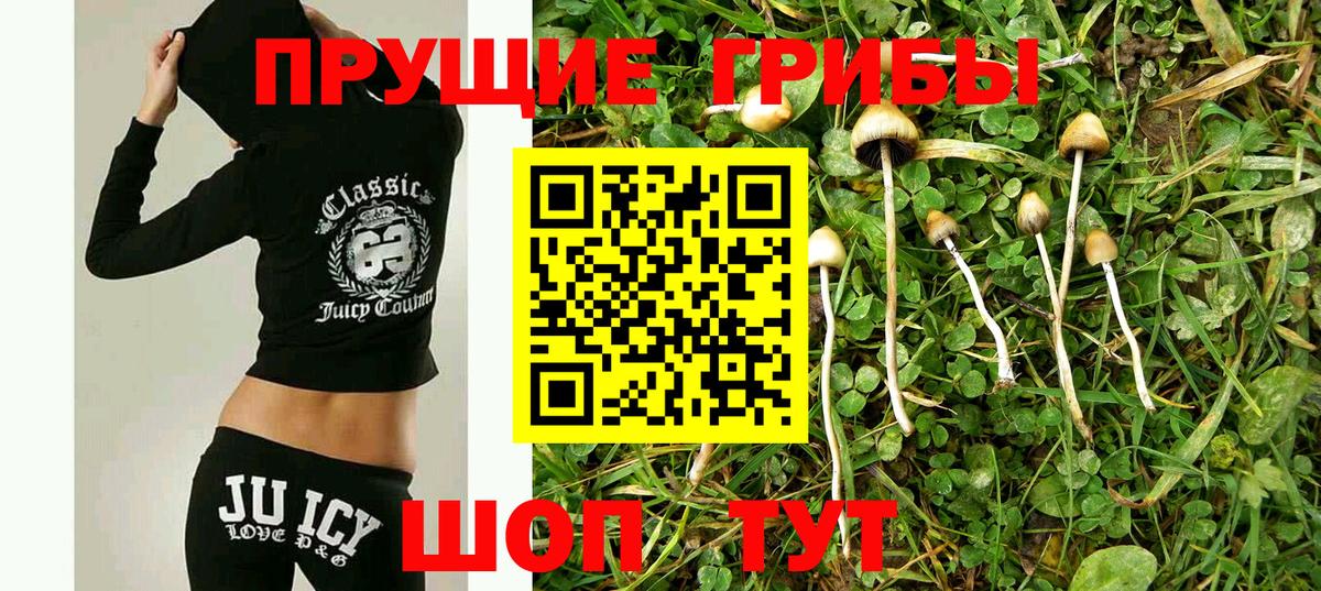 Галлюциногенные грибы Magic Shrooms  Псилоцибиновые грибы ЛСД  Якутск  Вход с VPN 